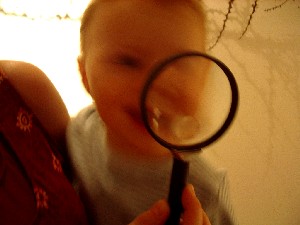 Erbario ed ospiti al Museo