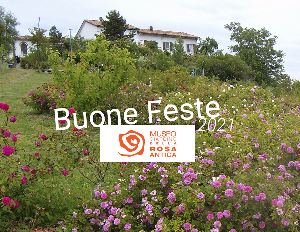 Auguri di buon Natale 2021