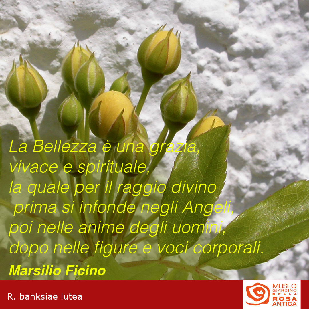 Auguri di buona Pasqua 2021