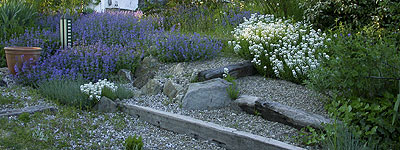 Giardini Diversi, rocciosi, di ghiaia