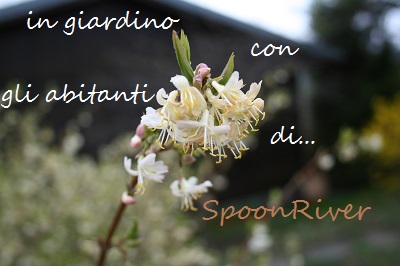 Gli Aggregati al Museo Giardino della Rosa Antica