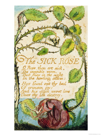 William Blake - The Sick Rose