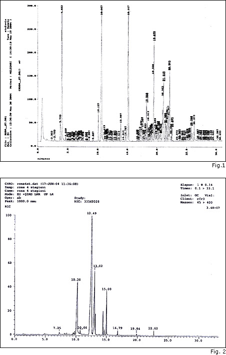 Fitocosmesi e rose antiche