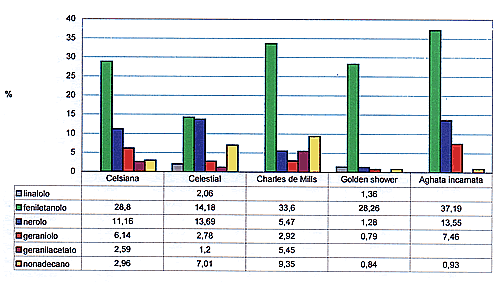 Frazione volatile pelai di rosa
