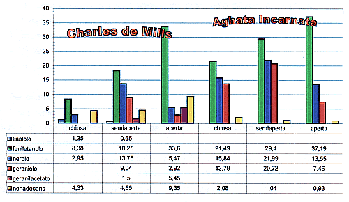Frazione volatile petali di Rosa