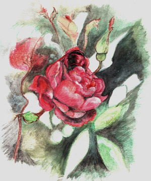 Slater's Crimson China - Inghilterra 1792, scoperta in Cina -