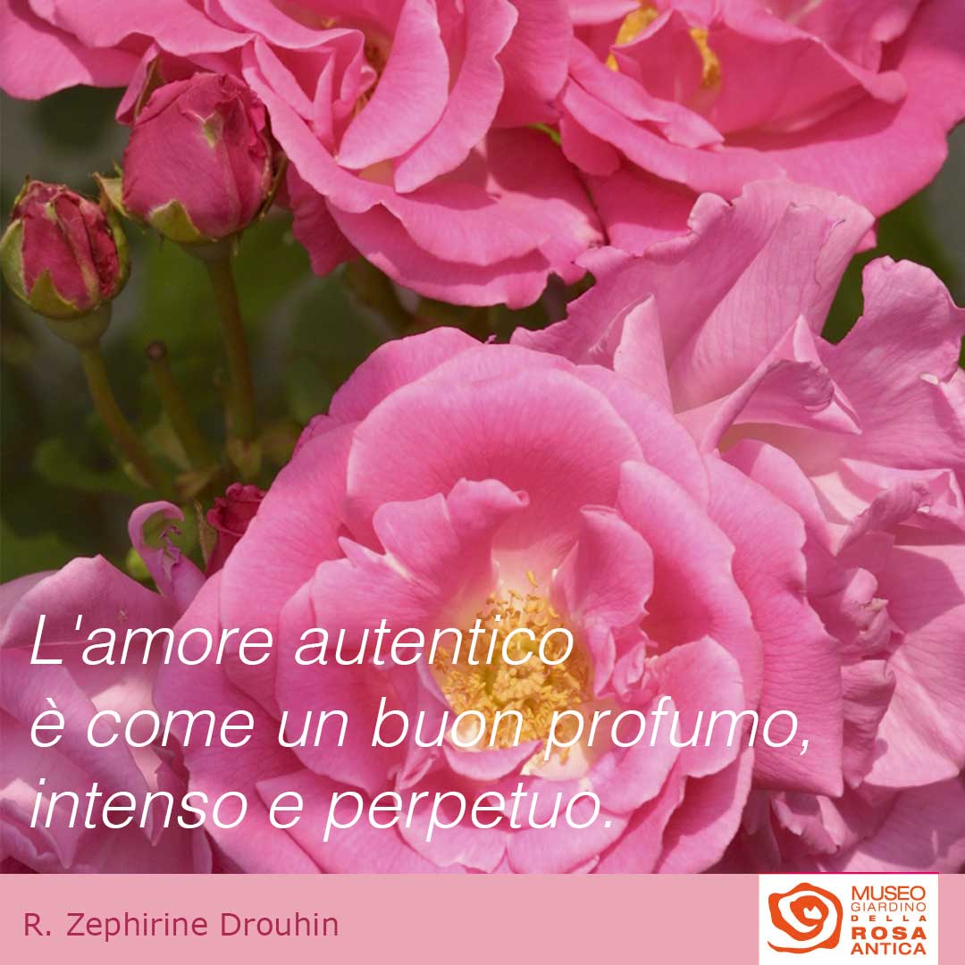 Auguri di buon San Valentino