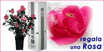 A Natale Regala una Rosa